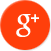 Google +